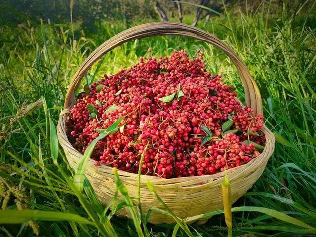 花椒回奶真相揭秘！哺乳期妈妈必看的饮食指南