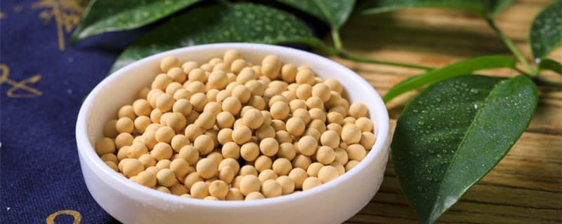 大豆高产种植新技术：从整地到病虫防治全程指南