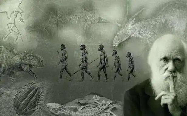 除了人类之外，地球上出现过其他智慧物种吗？
