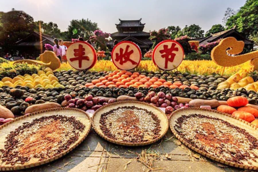 “五谷丰登”到底指的是哪“五谷”？一文读懂中国传统文化中的五种粮食作物