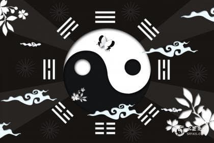 紫微斗数太阴星五行属性，太阴星在十二宫详解