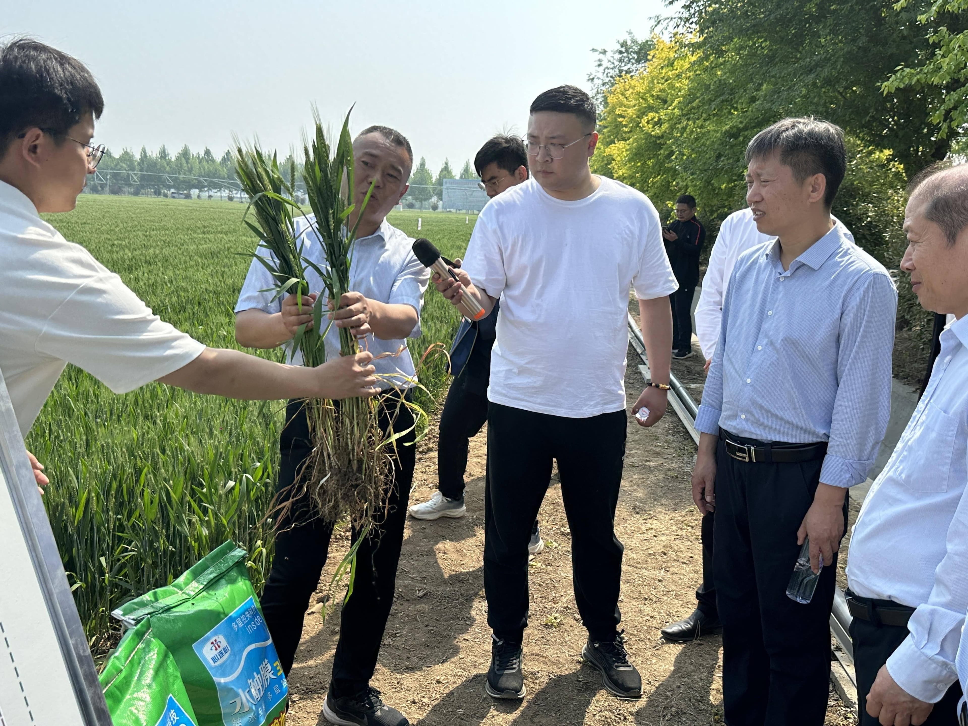 河南农业科技创新项目：新型肥料技术助力粮食安全