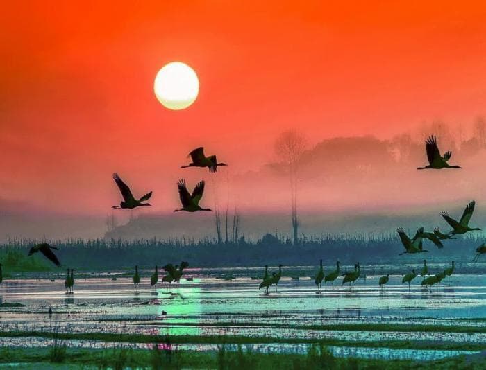 贵州多地入选《2024中国候鸟式养老夏季栖息地适宜度指数》榜单