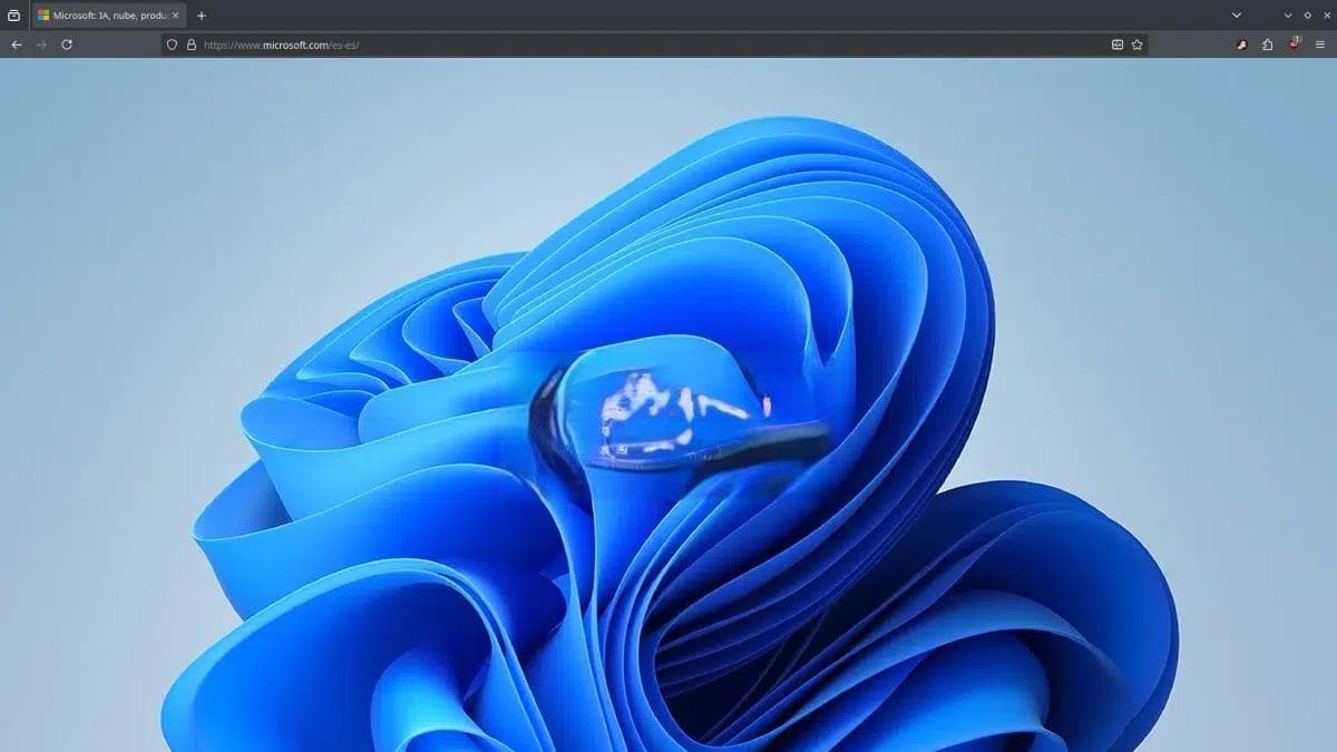Windows 中的错误 403：原因及有效解决方案