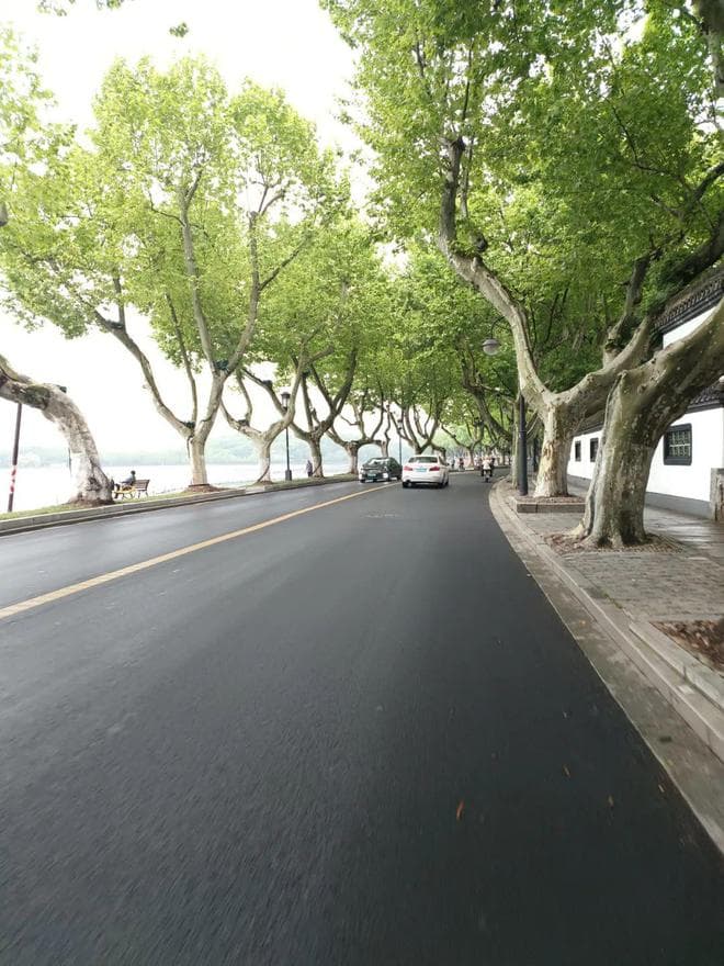 西湖景区“双限”后，道路明显更通畅了，但有一个问题让游客头疼