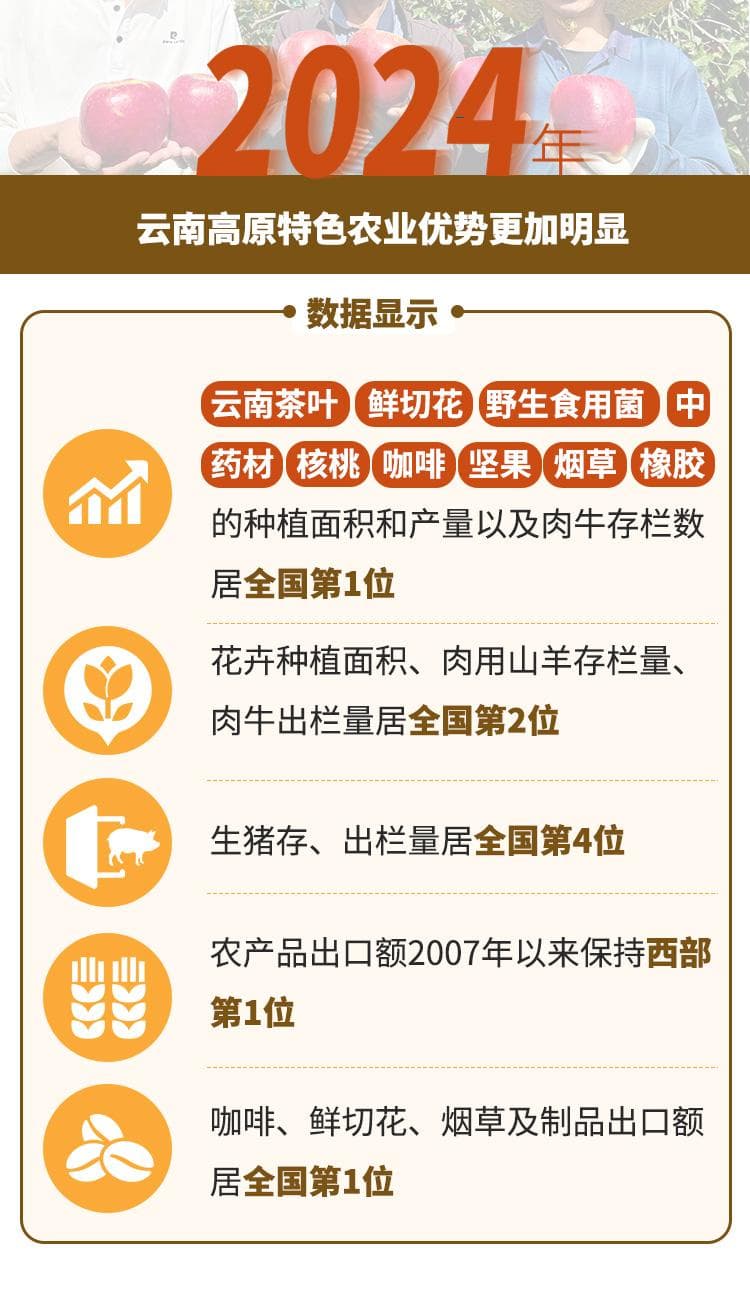 2024年云南经济观察：高原特色农业助力乡村振兴