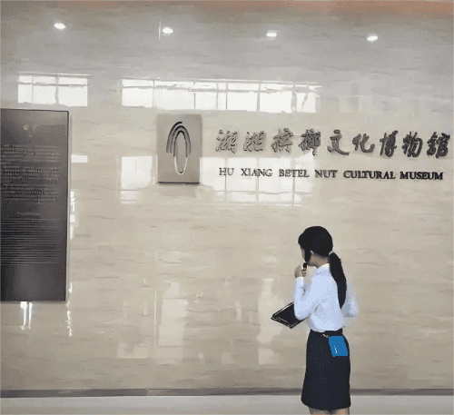 湘潭槟榔产业：数百年传承与现代化发展之路