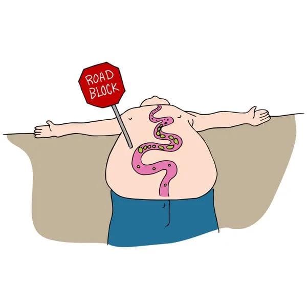 消化吸收不好的瘦人怎么增肥
