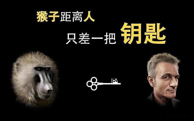 《人类简史》：从认知革命到数据主义，人类如何成为地球的主宰？