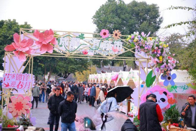 二月花市成春日顶流，市民沉浸式体验“花漾生活”