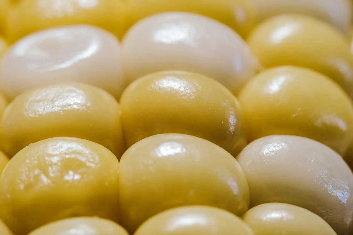 六味地黄丸在糖尿病肾病治疗中的应用与展望