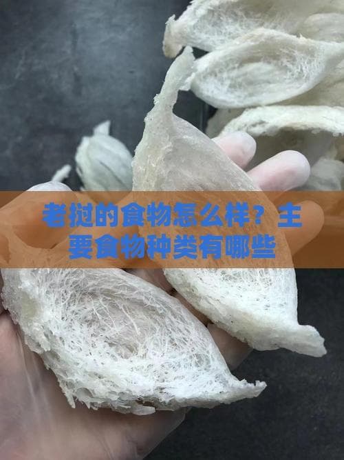 老挝美食全攻略：十大特色美食详解