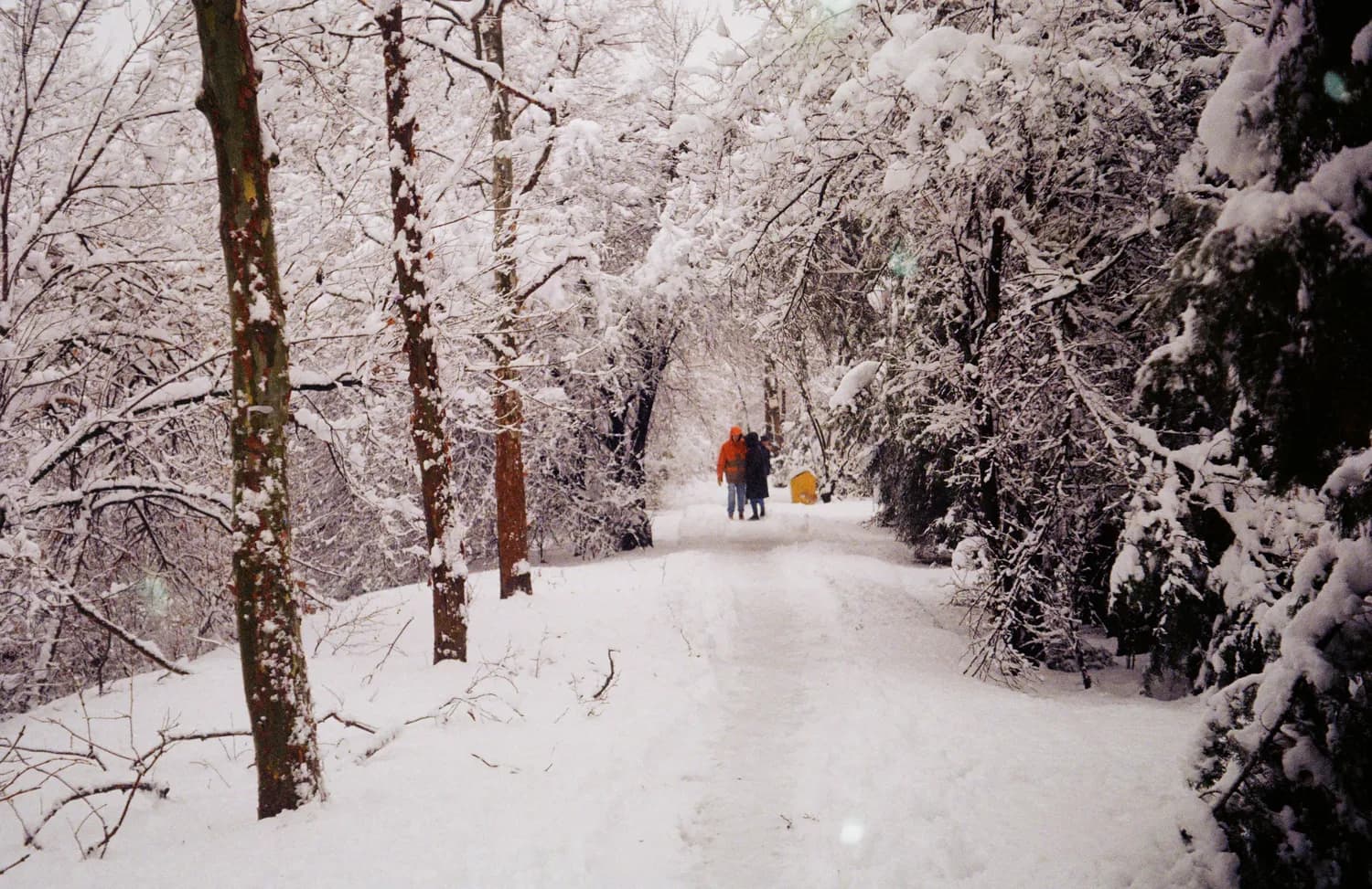 洛阳白云山自驾游全攻略：7座以下车型可预约进入，赏雪景、玩冰挂一个都不能少！