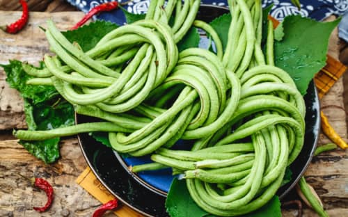 豇豆的功效与作用 豆角的家常做法