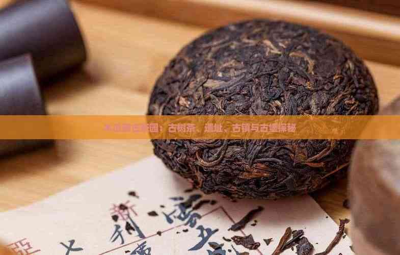 木瓜寨古茶园：古树茶、遗址、古镇与古堡探秘