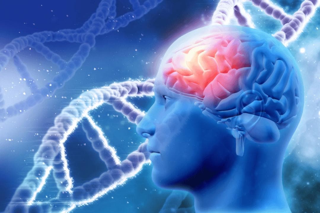 揭秘大脑内存，别低估你的大脑储存能力