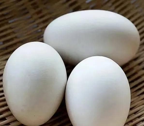 鸡蛋、鸭蛋、鹅蛋，哪种最营养？鸭蛋鹅蛋为什么不如鸡蛋受欢迎？