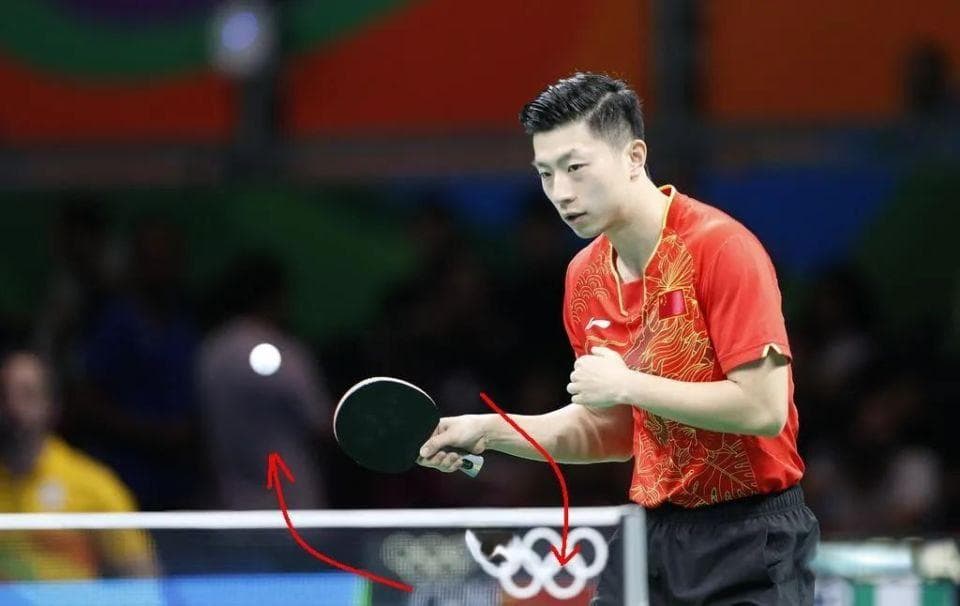 从小白到乒乓球业余高手，这10项技术要掌握，练习顺序很重要
