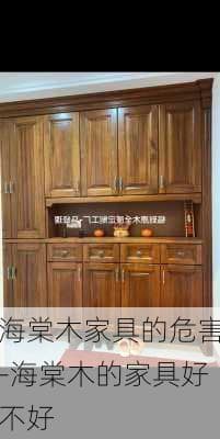 海棠木家具选购保养指南：名贵木材的使用全攻略