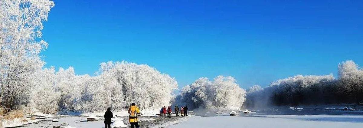 福建暖冬漫游：温泉康养与樱花雾凇奇景之旅