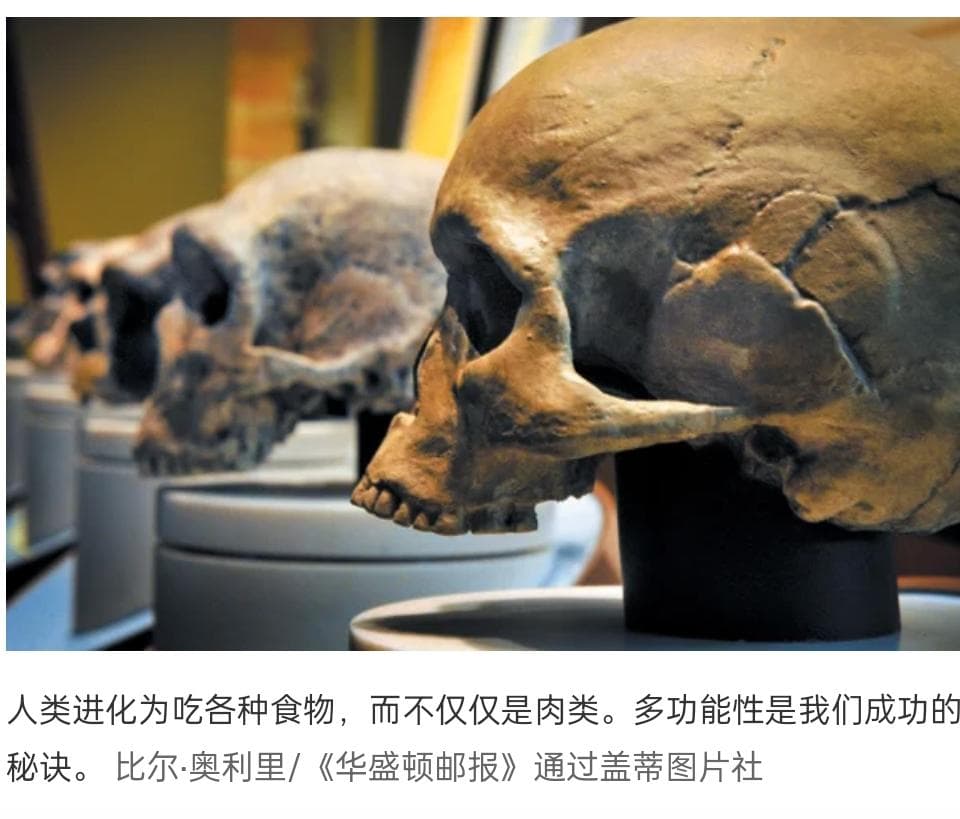溯源人类饮食进化：打破“纯肉饮食”迷思，探寻健康真谛