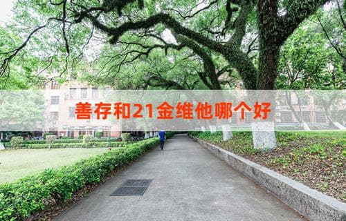 善存注重基础营养，21金维他侧重综合调理
