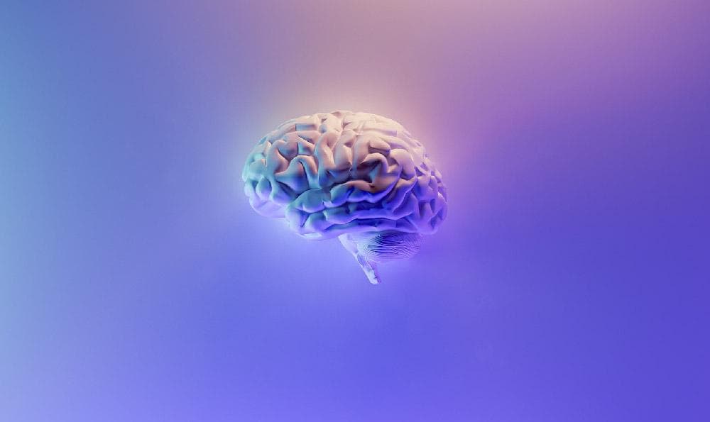 科学研究的正确顺序及其重要性