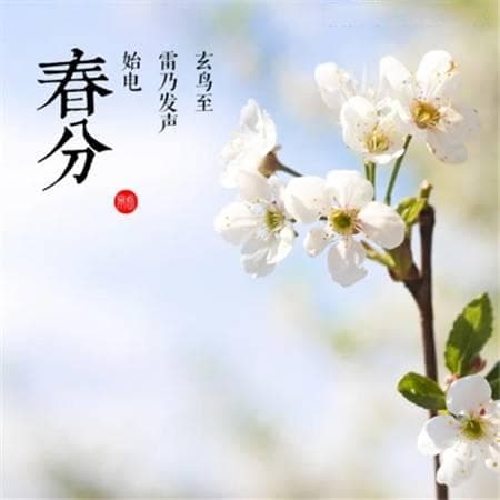 春分三候分别是什么意思，春分的寓意及象征意义