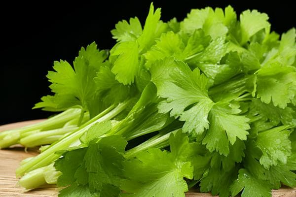 十大维生素K含量高的蔬菜排行榜：菠菜上榜(绿叶蔬菜含量高)