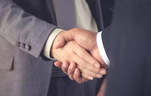 属狗和属兔合财吗？生肖配对全解析