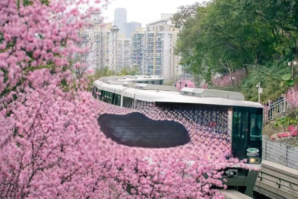 十大春游路线、200+踏春赏花热门地……春游重庆 看这里就够了！