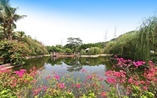 深圳宝安公园：深圳西部最大市政公园，六大景区尽显生态之美