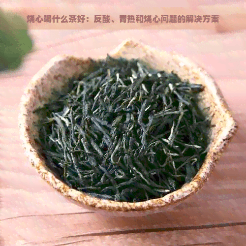 烧心喝什么茶好：反酸、胃热和烧心问题的解决方案