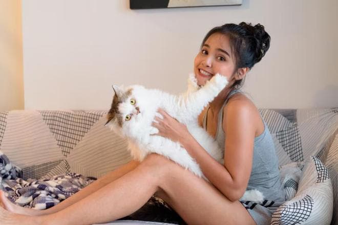 母猫无休止地叫？已经影响正常生活？那么这个方法就要赶紧掌握！