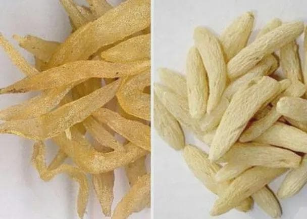 秋冬养生必备：天冬的多种食用方法