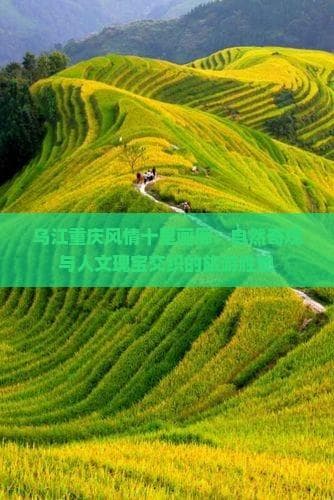 乌江重庆风情十里画廊：自然奇观与人文瑰宝交织的旅游胜地