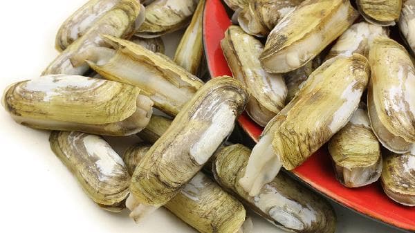 肺结节患者饮食指南：这些食物有助于缓解症状