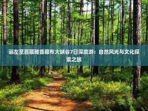 崇左至西藏雅鲁藏布大峡谷7日深度游：自然风光与文化探索之旅