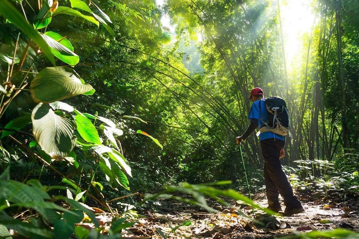 泰國每月天氣終極指南：規劃全年完美旅行