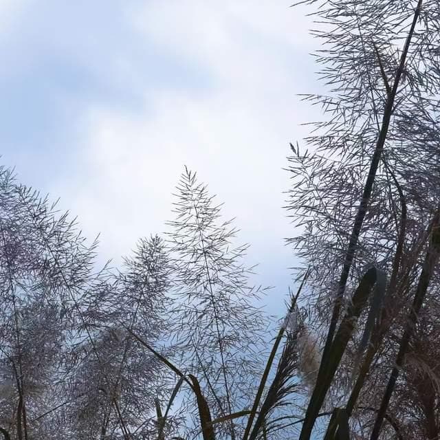 讼：处理纷争的艺术，淡看输赢的智慧