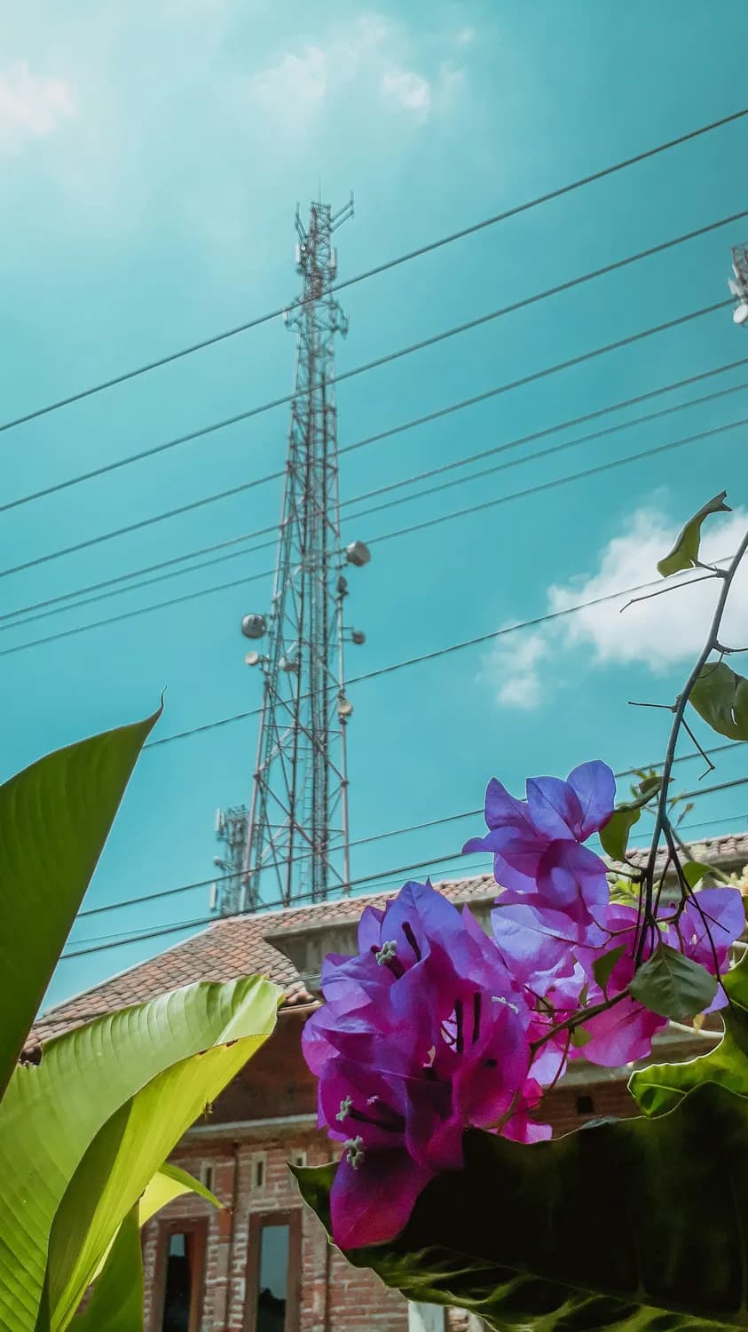 老挝上网攻略：城市选Lao Telecom，乡村选ETL