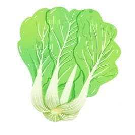 白菜：几块钱一斤的“全能选手”，营养价值不容小觑