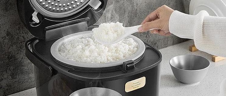 陶瓷油内胆电饭煲好吗？电饭煲内胆掉漆还能用吗？