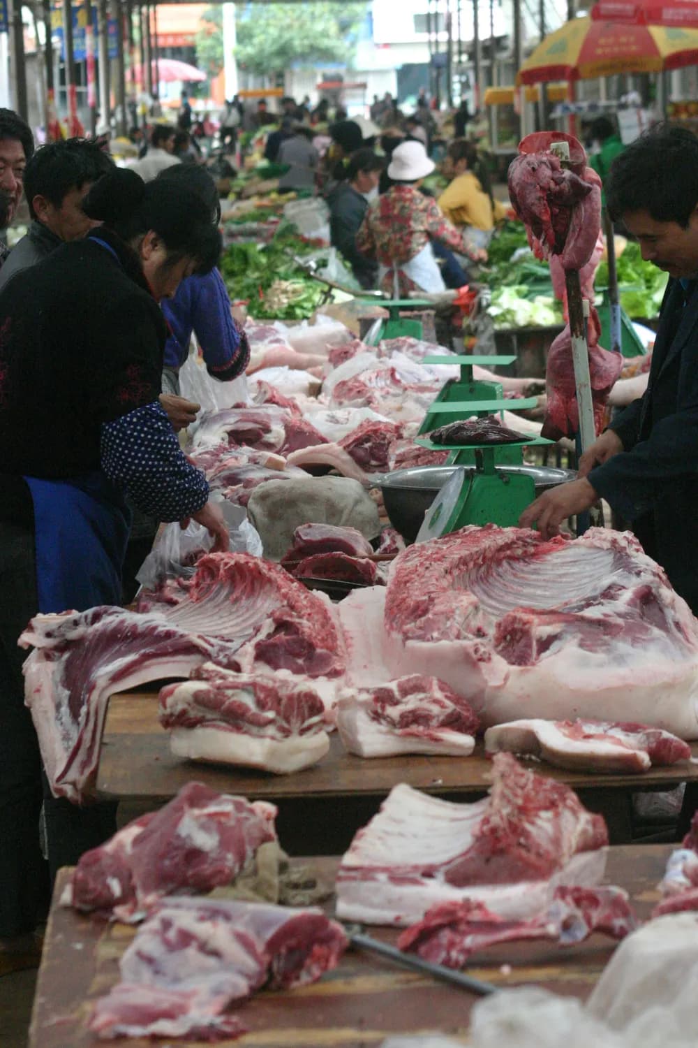 猪肉和蔬菜价格波动如何影响CPI？