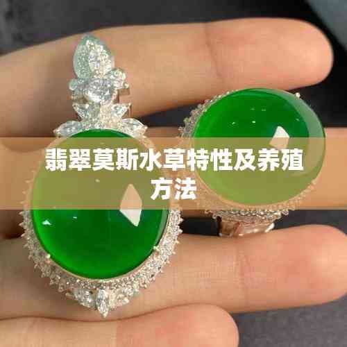 翡翠莫斯水草特性及养殖方法