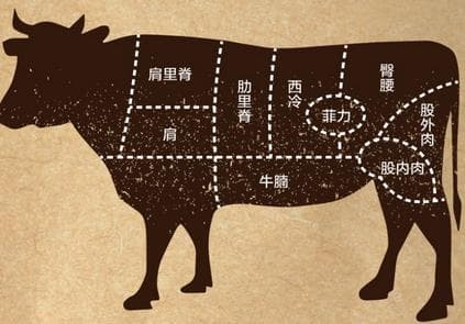 成语“庖丁解牛”是什么意思？“庖丁解牛”有什么典故？