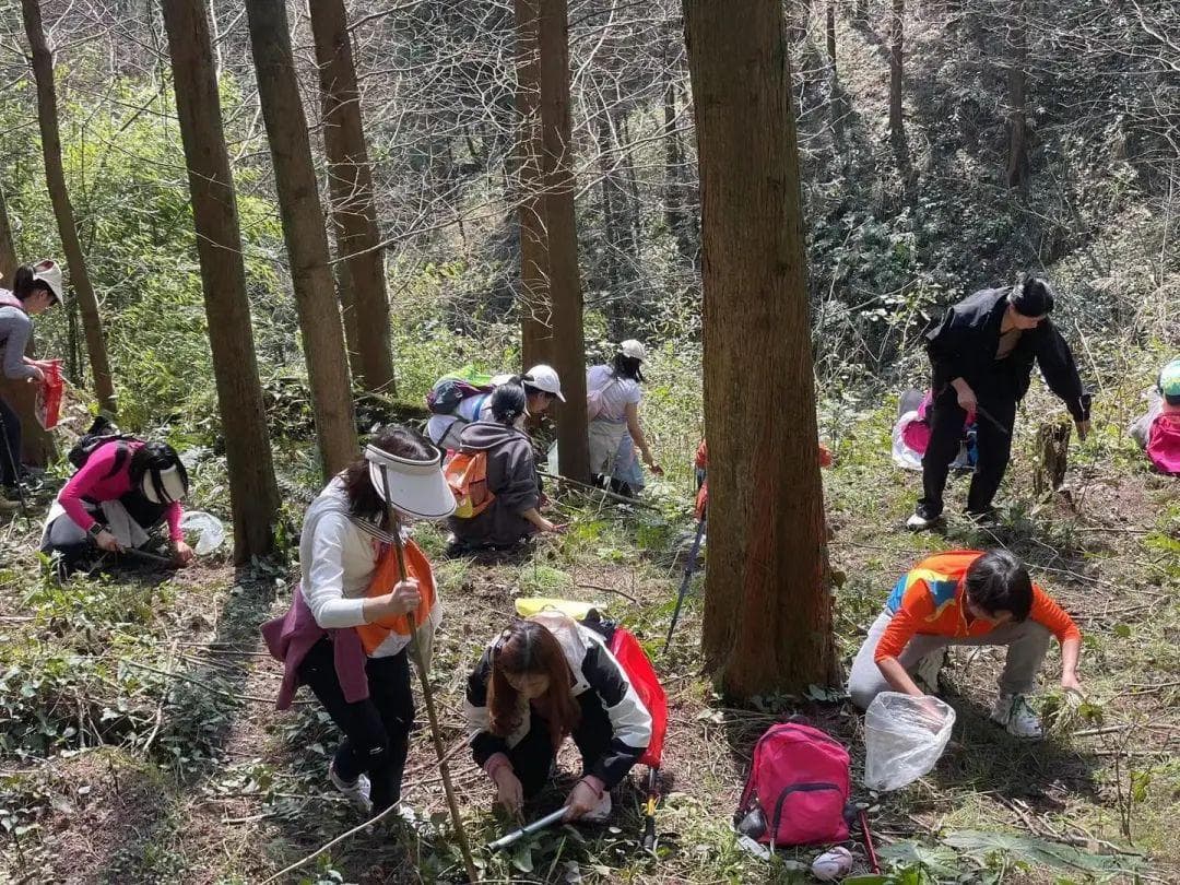 成都兴起"打野"热潮：市民周末组团挖野菜，两小时收获十多斤