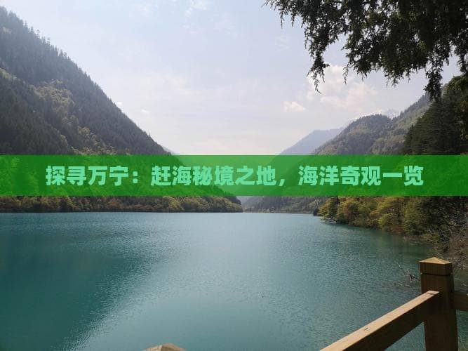 万宁赶海攻略：4处优质沙滩，安全玩乐指南