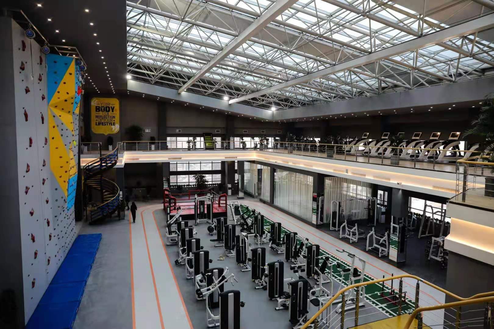 规律且适量的运动能改善学习记忆