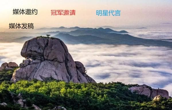 明星代言案例深度剖析：流量与口碑的双赢策略